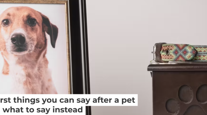 Loss of a pet falls into what researchers call disenfranchised grief in which the pain is often minimized or discounted. Claudia Luna/iStock via Getty Images Plus